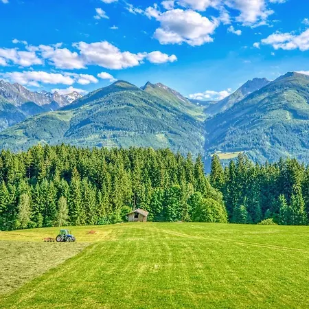 Wallner By Alpen * Niedernsill